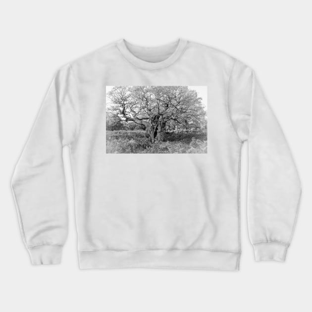 Royal Oak, Richmond Park Crewneck Sweatshirt by GrahamPrentice